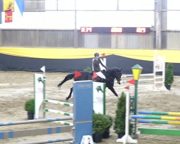 Reitturnier Erlen 2020