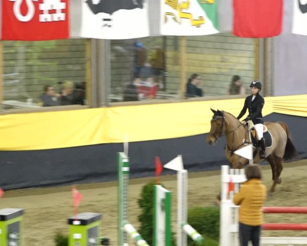 Reitturnier Erlen 2020