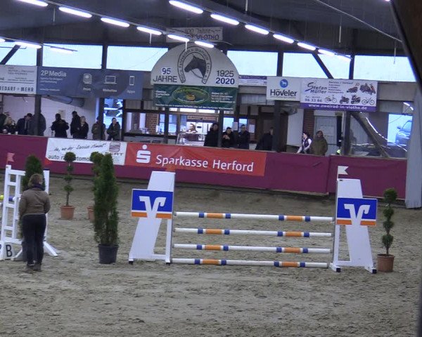 Reitturnier Vlotho-Exter 2020