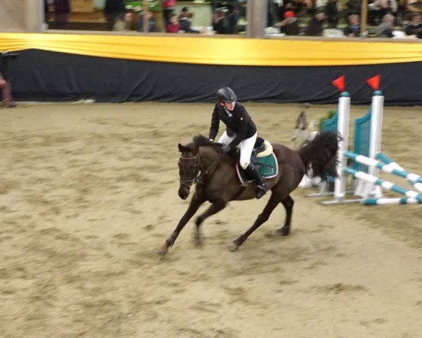 Reitturnier Erlen 2020