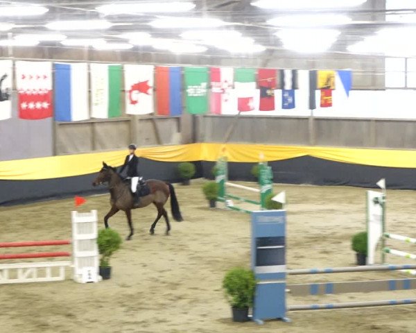 Reitturnier Erlen 2020
