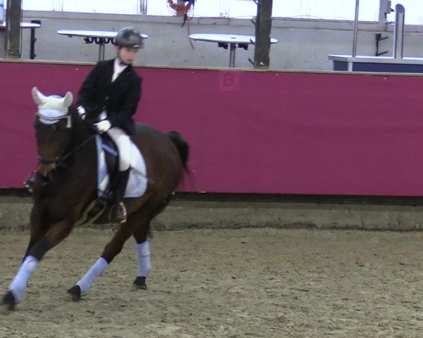 Reitturnier Vlotho-Exter 2020
