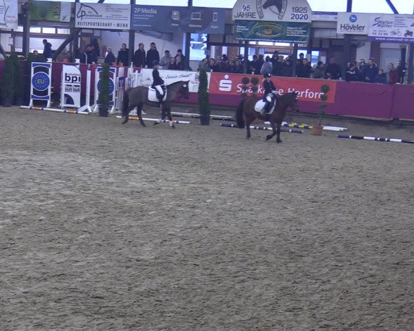 Reitturnier Vlotho-Exter 2020