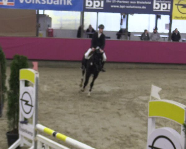 Reitturnier Vlotho-Exter 2020