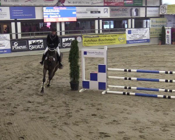 Reitturnier Vlotho-Exter 2020