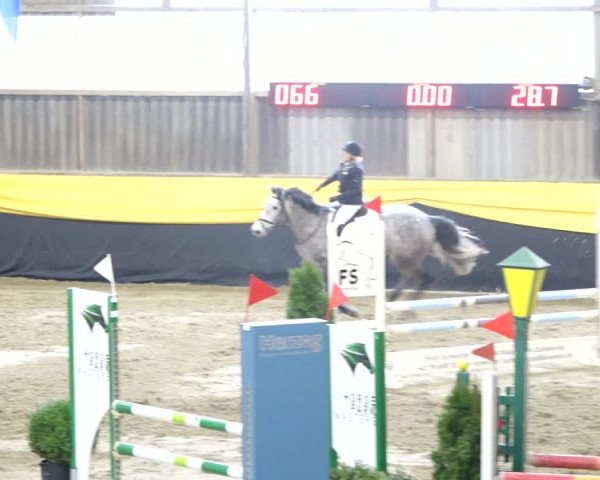 Reitturnier Erlen 2020