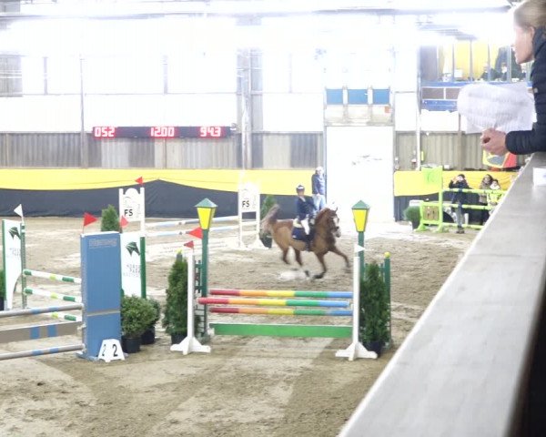 Reitturnier Erlen 2020