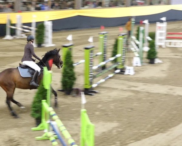 Reitturnier Erlen 2020