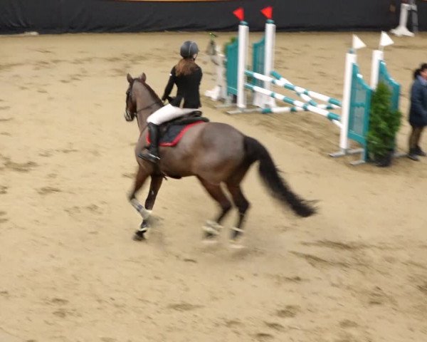 Reitturnier Erlen 2020