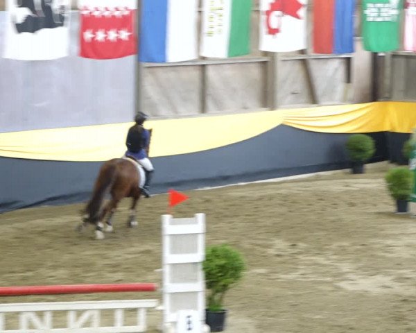 Reitturnier Erlen 2020