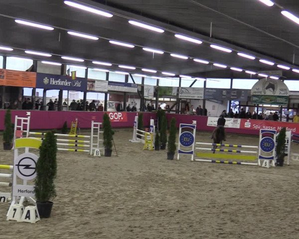 Reitturnier Vlotho-Exter 2020