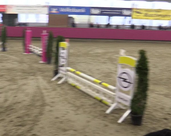 Reitturnier Vlotho-Exter 2020