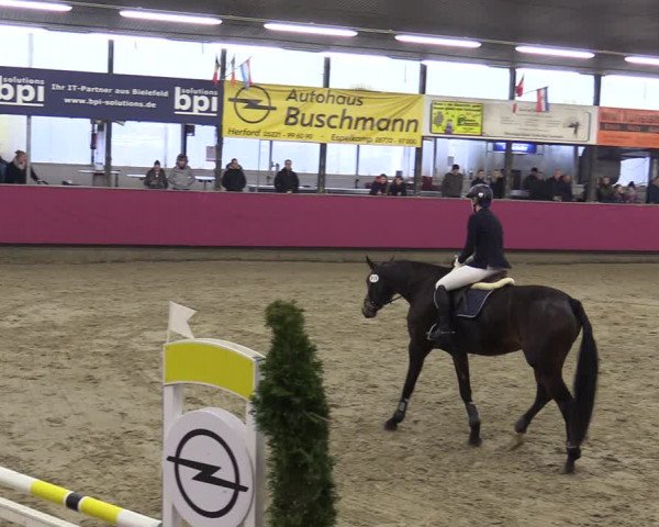 Reitturnier Vlotho-Exter 2020