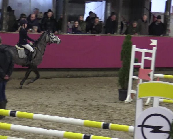 Reitturnier Vlotho-Exter 2020