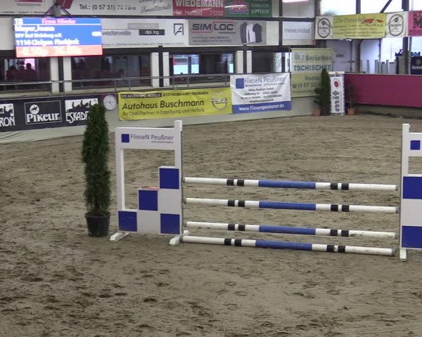 Reitturnier Vlotho-Exter 2020