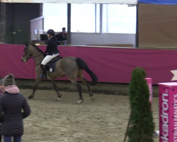 Reitturnier Vlotho-Exter 2020