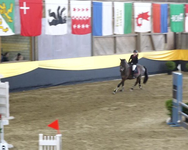 Reitturnier Erlen 2020