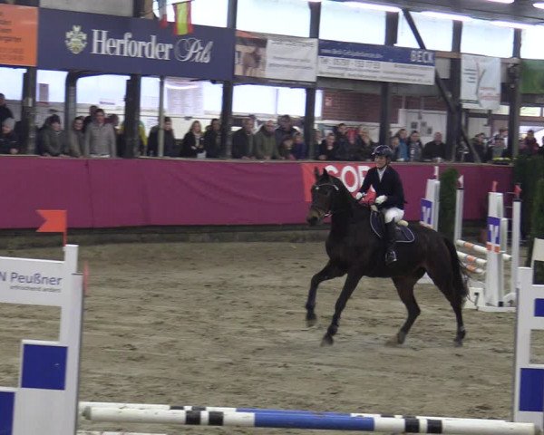 Reitturnier Vlotho-Exter 2020