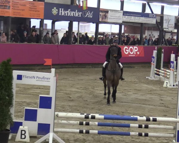 Reitturnier Vlotho-Exter 2020