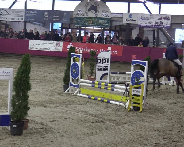 Reitturnier Vlotho-Exter 2020