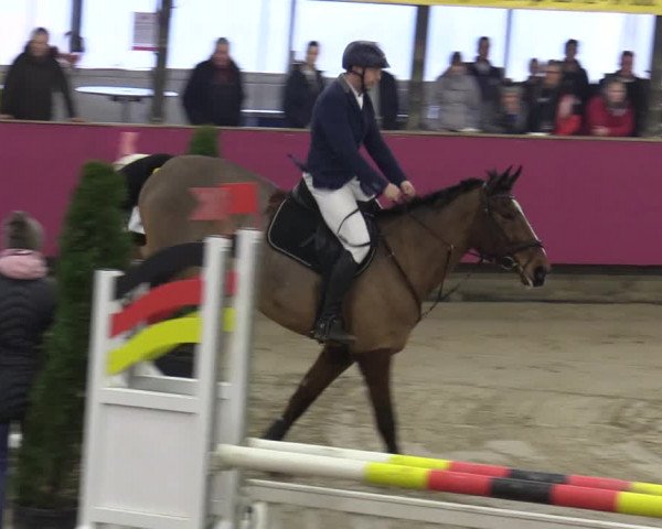 Reitturnier Vlotho-Exter 2020
