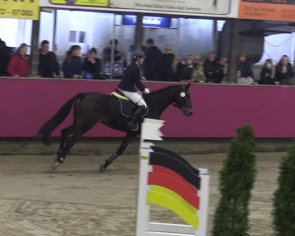 Reitturnier Vlotho-Exter 2020