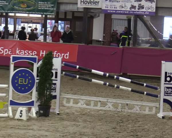 Reitturnier Vlotho-Exter 2020