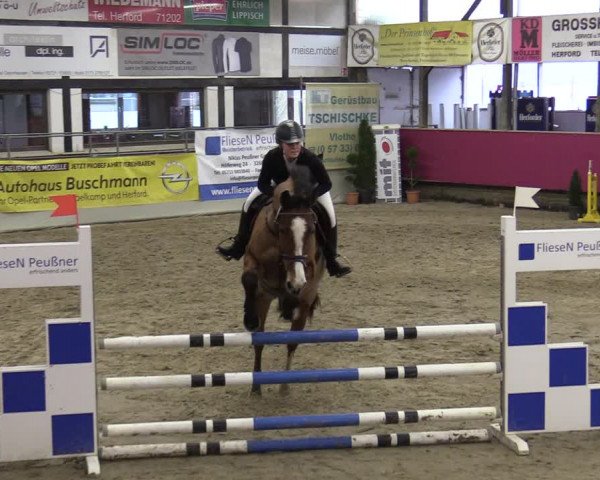 Reitturnier Vlotho-Exter 2020