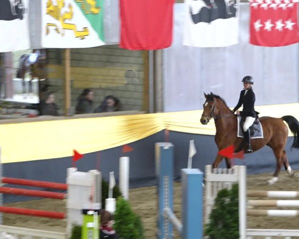 Reitturnier Erlen 2020