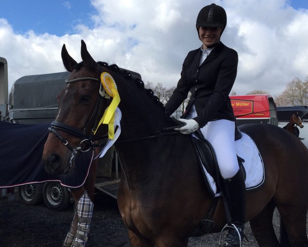 dressage horse D'Amantiado (Bavarian, 2005, from Da Lisco)