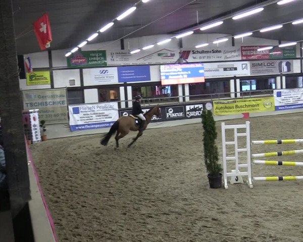 Reitturnier Vlotho-Exter 2020