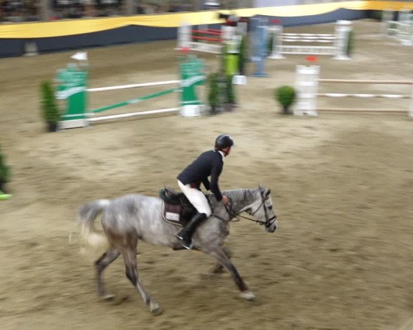 Reitturnier Erlen 2020