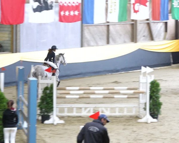 Reitturnier Erlen 2020