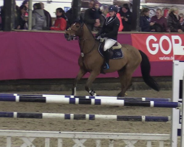 Reitturnier Vlotho-Exter 2020