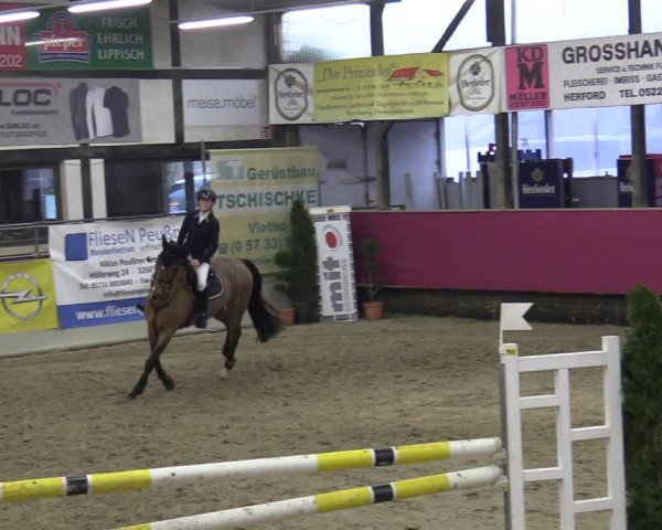 Reitturnier Vlotho-Exter 2020
