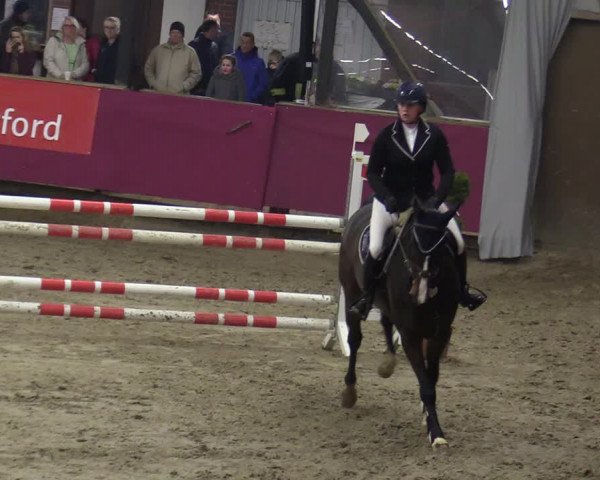 Reitturnier Vlotho-Exter 2020