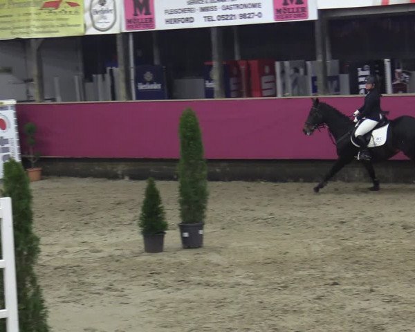 Reitturnier Vlotho-Exter 2020