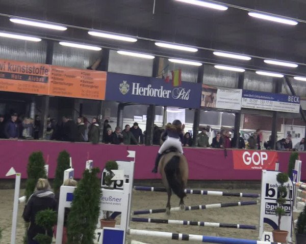 Reitturnier Vlotho-Exter 2020