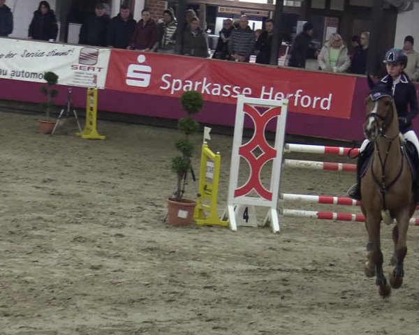 Reitturnier Vlotho-Exter 2020