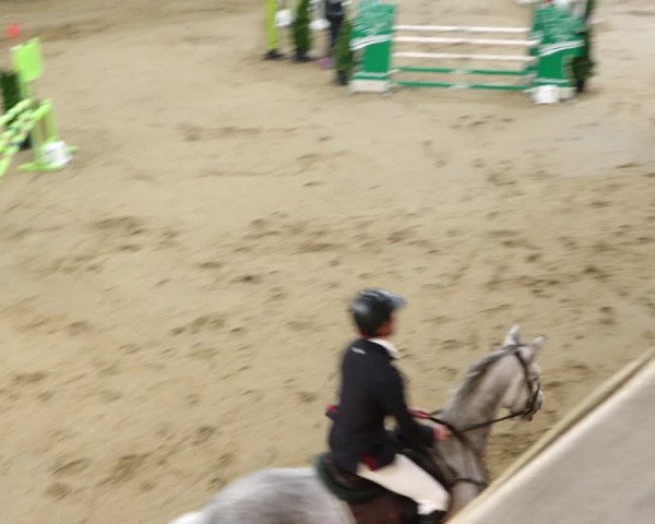 Reitturnier Erlen 2020