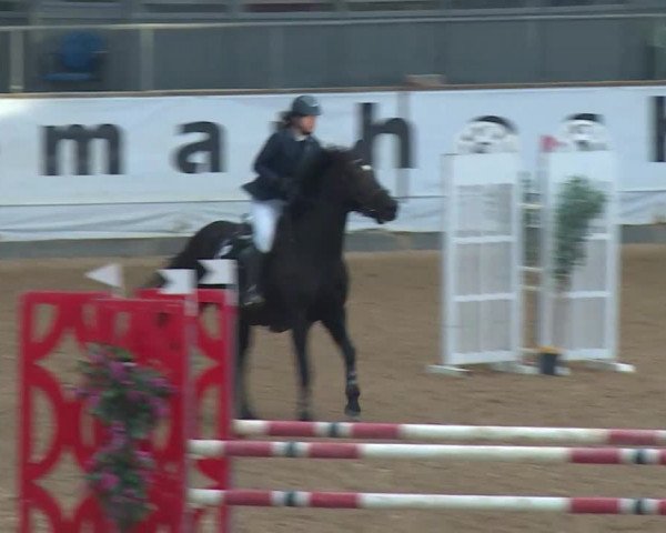 Reitturnier Kreuth/Opf. 2020