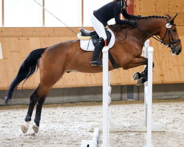 jumper Prissaro (Zweibrücken, 2005, from Panatheneikos Athen)