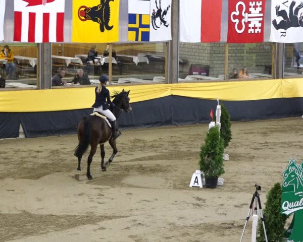 Reitturnier Erlen 2020
