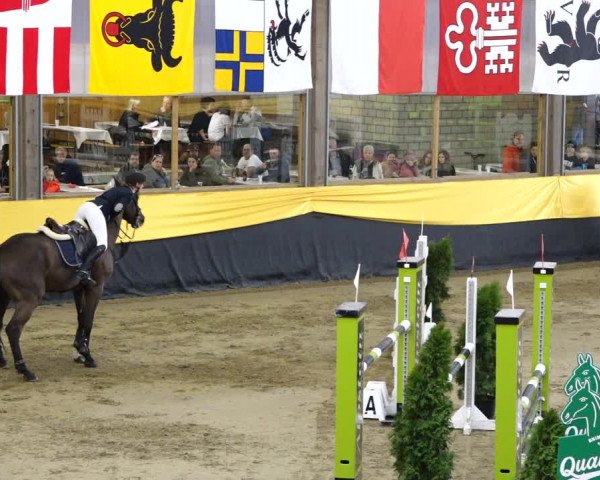 Reitturnier Erlen 2020