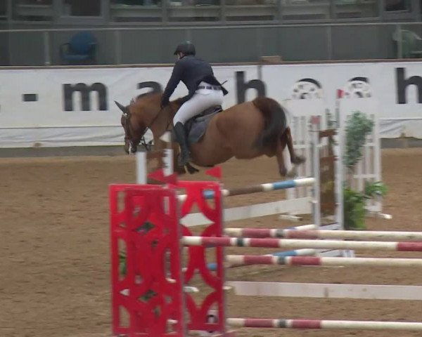 Reitturnier Kreuth/Opf. 2020