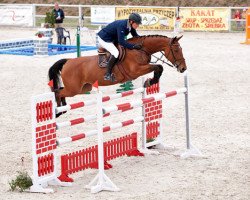 Zuchtstute Queen de Revel (Polnisches Warmblut, 2004, von Quidam's Rubin)