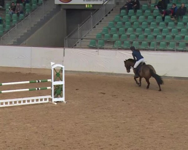Reitturnier Kreuth/Opf. 2020