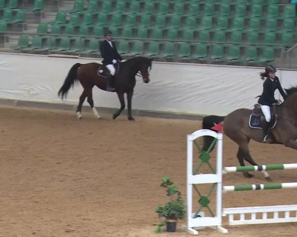 Reitturnier Kreuth/Opf. 2020