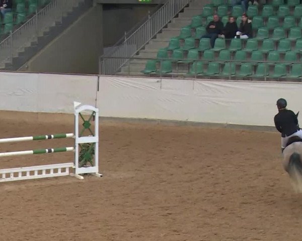 Reitturnier Kreuth/Opf. 2020