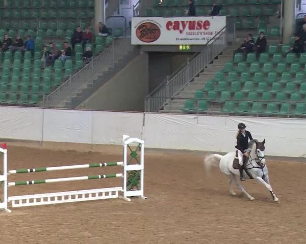 Reitturnier Kreuth/Opf. 2020